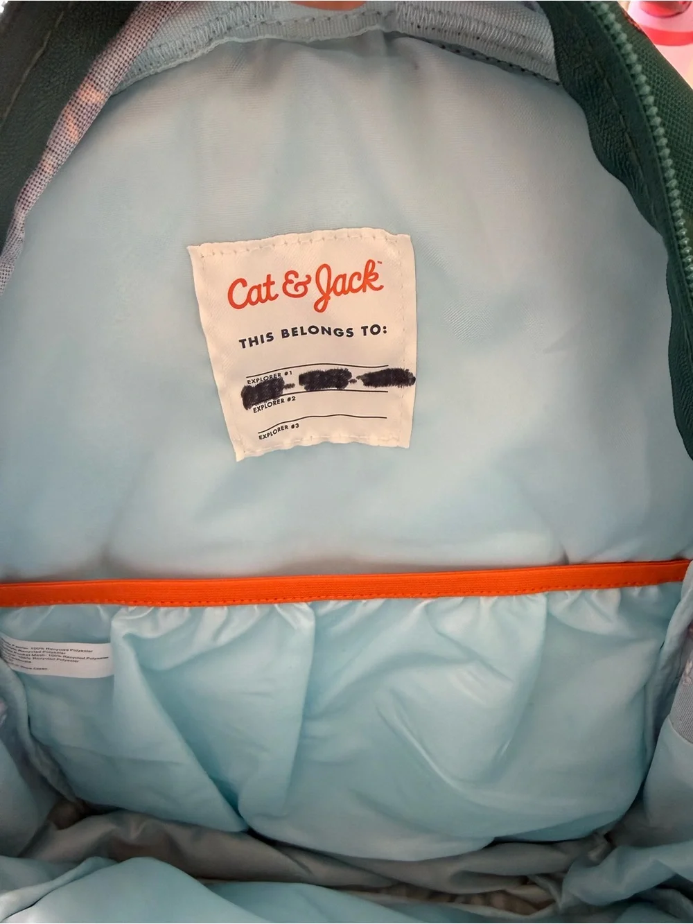 Cat & Jack Teal Dinosaur Backpack with Orange Accents